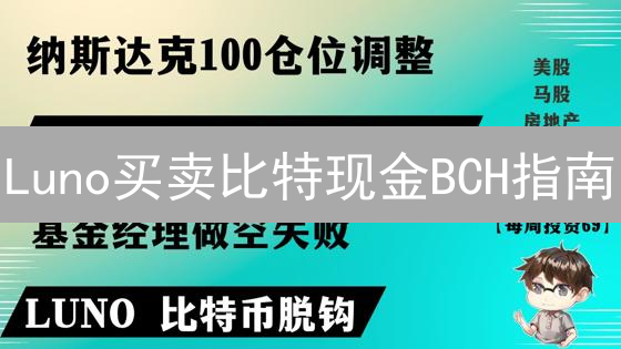 Luno买卖比特现金BCH指南：新手也能轻松上手？