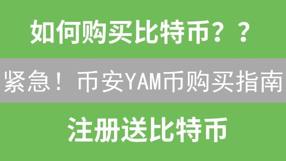 紧急！币安YAM币购买指南：还在亏钱？掌握这几招！